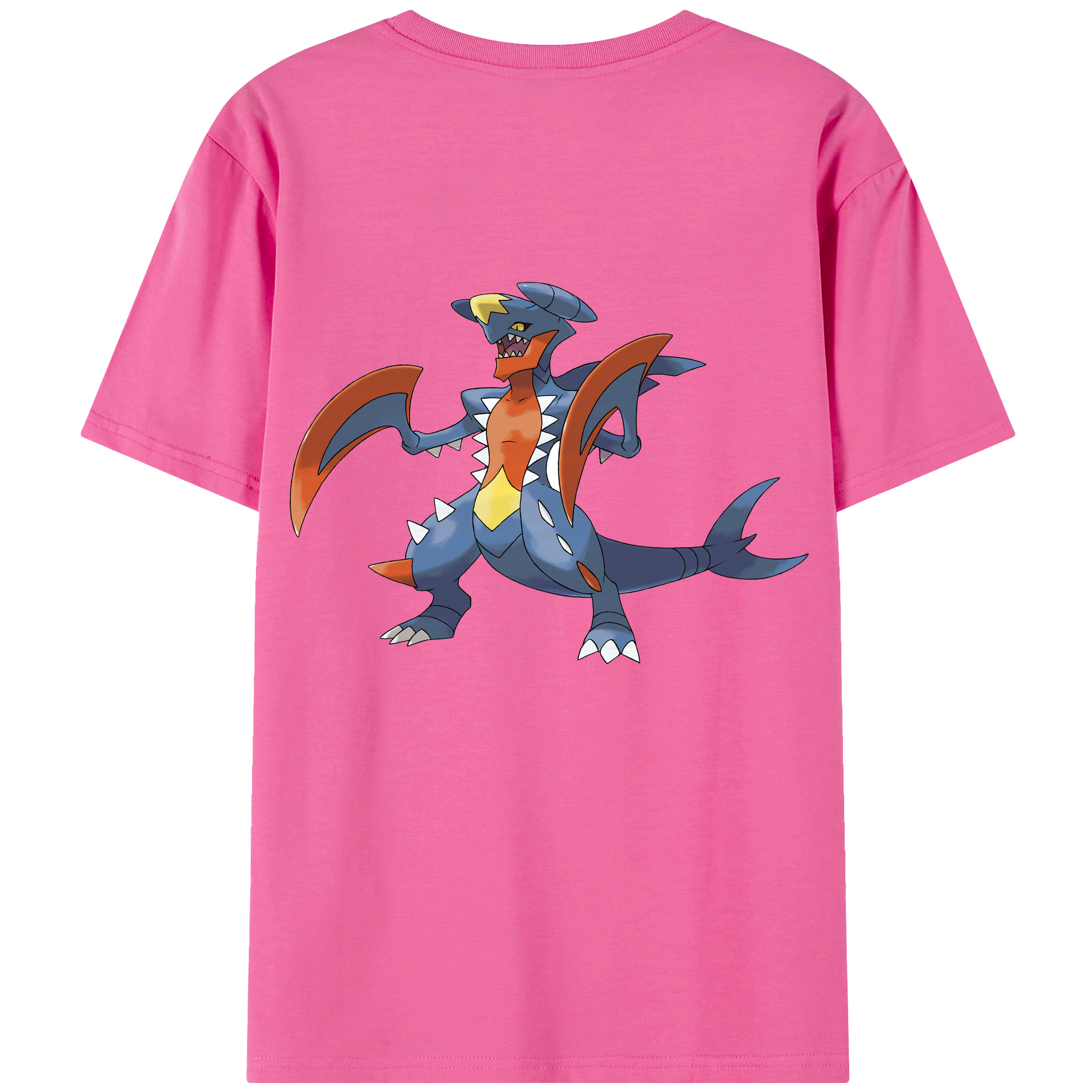 （画像用） ポケットモンスター Pokémon レディース半袖Tシャツ(バックプリント)